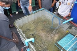 20220526072432.jpg - อบรมเชิงปฏิบัติการถ่ายทอดนวัตกรรมเกษตรสีเขียวสมัยใหม่ | https://facagri.cmru.ac.th/web