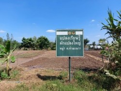 20221118071019(1).jpg - ยกระดับการผลิตผักและเมล่อนปลอดภัย | https://facagri.cmru.ac.th/web