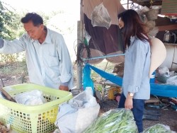 20221118071019.jpg - ยกระดับการผลิตผักและเมล่อนปลอดภัย | https://facagri.cmru.ac.th/web