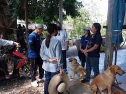 20221118071022(1).jpg - ยกระดับการผลิตผักและเมล่อนปลอดภัย | https://facagri.cmru.ac.th/web