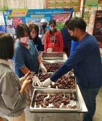 20230123024559(1).jpg - โครงการพัฒนายกระดับสินค้าในโครงการนวัตกรรมสร้างรอยยิ้ม (ข้าวพองไรซ์เบอรี และ ข้าวไรซ์เบอรีผง) ครั้งที่ 2 | https://facagri.cmru.ac.th/web