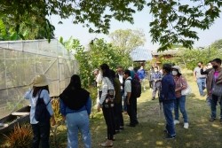 20230129032653.jpg - ปัจจัยที่มีผลต่อคุณภาพผลผลิตและดัชนีการเก็บเกี่ยว | https://facagri.cmru.ac.th/web
