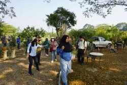 20230129032658.jpg - ปัจจัยที่มีผลต่อคุณภาพผลผลิตและดัชนีการเก็บเกี่ยว | https://facagri.cmru.ac.th/web