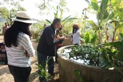 20230129032707.jpg - ปัจจัยที่มีผลต่อคุณภาพผลผลิตและดัชนีการเก็บเกี่ยว | https://facagri.cmru.ac.th/web