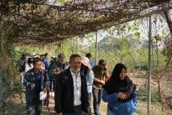 20230129032715.jpg - ปัจจัยที่มีผลต่อคุณภาพผลผลิตและดัชนีการเก็บเกี่ยว | https://facagri.cmru.ac.th/web