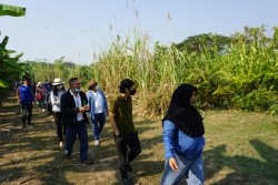 20230129032722.jpg - ปัจจัยที่มีผลต่อคุณภาพผลผลิตและดัชนีการเก็บเกี่ยว | https://facagri.cmru.ac.th/web