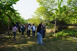 20230129032727.jpg - ปัจจัยที่มีผลต่อคุณภาพผลผลิตและดัชนีการเก็บเกี่ยว | https://facagri.cmru.ac.th/web
