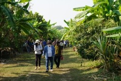 20230129032729.jpg - ปัจจัยที่มีผลต่อคุณภาพผลผลิตและดัชนีการเก็บเกี่ยว | https://facagri.cmru.ac.th/web