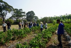 20230129032734.jpg - ปัจจัยที่มีผลต่อคุณภาพผลผลิตและดัชนีการเก็บเกี่ยว | https://facagri.cmru.ac.th/web