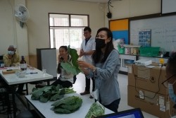 20230130020028.jpg - การตรวจสอบคุณภาพหลังการเก็บเกี่ยวผลิตผลทางการเกษตรอินทรีย์ | https://facagri.cmru.ac.th/web