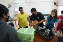 20230130080758.jpg - กิจกรรมการตรวจสุขภาพสัตว์เลี้ยงเบื้องต้น และการจับบังคับสัตว์ | https://facagri.cmru.ac.th/web