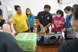 20230130080800.jpg - กิจกรรมการตรวจสุขภาพสัตว์เลี้ยงเบื้องต้น และการจับบังคับสัตว์ | https://facagri.cmru.ac.th/web