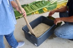 20230213065807.jpg - อบรมการควบคุมโรคและแมลงหลังการเก็บเกี่ยว | https://facagri.cmru.ac.th/web