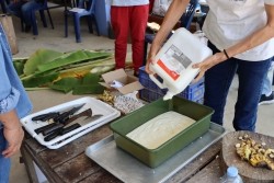 20230213065813.jpg - อบรมการควบคุมโรคและแมลงหลังการเก็บเกี่ยว | https://facagri.cmru.ac.th/web