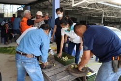 20230213065815.jpg - อบรมการควบคุมโรคและแมลงหลังการเก็บเกี่ยว | https://facagri.cmru.ac.th/web