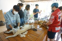 20230219092600.jpg - กิจกรรมการเป็นผู้ช่วยสัตวแพทย์ในการทำหมันสุนัขและแมว และการดูแลสัตว์เลี้ยงหลังการผ่าตัด | https://facagri.cmru.ac.th/web