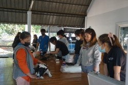 20230219092624.jpg - กิจกรรมการเป็นผู้ช่วยสัตวแพทย์ในการทำหมันสุนัขและแมว และการดูแลสัตว์เลี้ยงหลังการผ่าตัด | https://facagri.cmru.ac.th/web