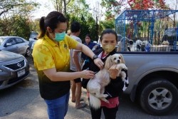 20230219092628.jpg - กิจกรรมการเป็นผู้ช่วยสัตวแพทย์ในการทำหมันสุนัขและแมว และการดูแลสัตว์เลี้ยงหลังการผ่าตัด | https://facagri.cmru.ac.th/web
