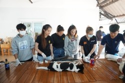 20230219092635.jpg - กิจกรรมการเป็นผู้ช่วยสัตวแพทย์ในการทำหมันสุนัขและแมว และการดูแลสัตว์เลี้ยงหลังการผ่าตัด | https://facagri.cmru.ac.th/web