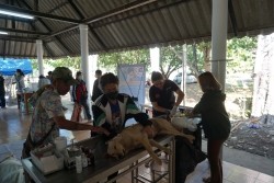 20230219092637.jpg - กิจกรรมการเป็นผู้ช่วยสัตวแพทย์ในการทำหมันสุนัขและแมว และการดูแลสัตว์เลี้ยงหลังการผ่าตัด | https://facagri.cmru.ac.th/web