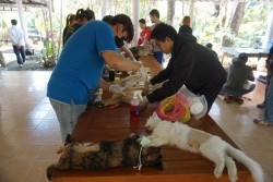 20230219092639.jpg - กิจกรรมการเป็นผู้ช่วยสัตวแพทย์ในการทำหมันสุนัขและแมว และการดูแลสัตว์เลี้ยงหลังการผ่าตัด | https://facagri.cmru.ac.th/web