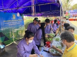 20230225030222.jpg - อบรมการเลี้ยงจิ้งหรีดและอบรมการเพาะเชื้อไตรโคเดอร์ม่า  | https://facagri.cmru.ac.th/web