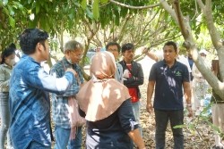 20230304110127.jpg - การเพาะเห็ดป่าเศรษฐกิจด้วยเทคโนโลยี Smart Farm | https://facagri.cmru.ac.th/web