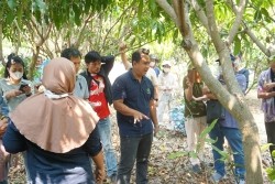 20230304110129.jpg - การเพาะเห็ดป่าเศรษฐกิจด้วยเทคโนโลยี Smart Farm | https://facagri.cmru.ac.th/web