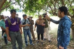 20230304110137.jpg - การเพาะเห็ดป่าเศรษฐกิจด้วยเทคโนโลยี Smart Farm | https://facagri.cmru.ac.th/web