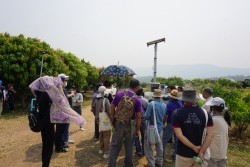 20230304110200.jpg - การเพาะเห็ดป่าเศรษฐกิจด้วยเทคโนโลยี Smart Farm | https://facagri.cmru.ac.th/web