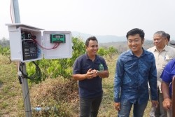 20230304110202.jpg - การเพาะเห็ดป่าเศรษฐกิจด้วยเทคโนโลยี Smart Farm | https://facagri.cmru.ac.th/web