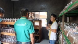 20230305140439.jpg - การเพาะเห็ดโคนน้อยด้วยเทคโนโลยี Smart Farm | https://facagri.cmru.ac.th/web