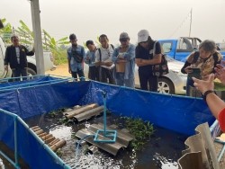 20230312065246.jpg - การเพาะเลี้ยงปูนาเชิงพานิชด้วยเทคโนโลยี Smart Farm | https://facagri.cmru.ac.th/web