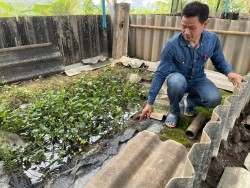 20230312065248.jpg - การเพาะเลี้ยงปูนาเชิงพานิชด้วยเทคโนโลยี Smart Farm | https://facagri.cmru.ac.th/web