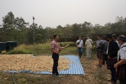 20230312083106.jpg - การใช้พลังงานเซลล์แสงอาทิตย์ร่วมกับการทำ Smart Farm | https://facagri.cmru.ac.th/web