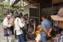 20230312083119.jpg - การใช้พลังงานเซลล์แสงอาทิตย์ร่วมกับการทำ Smart Farm | https://facagri.cmru.ac.th/web