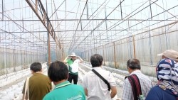 20230320020316.jpg - เทคโนโลยี Smart Farm ในการเพาะปลูกเมล่อน | https://facagri.cmru.ac.th/web