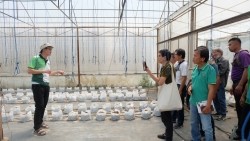 20230320020317.jpg - เทคโนโลยี Smart Farm ในการเพาะปลูกเมล่อน | https://facagri.cmru.ac.th/web