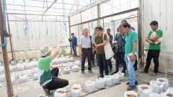 20230320020319.jpg - เทคโนโลยี Smart Farm ในการเพาะปลูกเมล่อน | https://facagri.cmru.ac.th/web