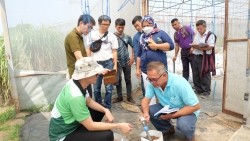 20230320020323.jpg - เทคโนโลยี Smart Farm ในการเพาะปลูกเมล่อน | https://facagri.cmru.ac.th/web