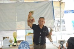 20230320023216.jpg - เทคโนโลยี Smart Farm การพ่นหมอกในโรงเรือนปลูกสตอเบอรี่ | https://facagri.cmru.ac.th/web