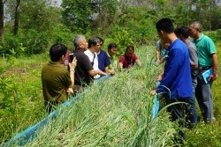 20230320023231.jpg - เทคโนโลยี Smart Farm การพ่นหมอกในโรงเรือนปลูกสตอเบอรี่ | https://facagri.cmru.ac.th/web