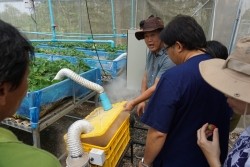 20230320023243.jpg - เทคโนโลยี Smart Farm การพ่นหมอกในโรงเรือนปลูกสตอเบอรี่ | https://facagri.cmru.ac.th/web