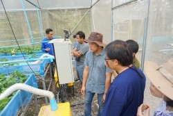 20230320023246.jpg - เทคโนโลยี Smart Farm การพ่นหมอกในโรงเรือนปลูกสตอเบอรี่ | https://facagri.cmru.ac.th/web