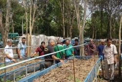 20230320023248.jpg - เทคโนโลยี Smart Farm การพ่นหมอกในโรงเรือนปลูกสตอเบอรี่ | https://facagri.cmru.ac.th/web