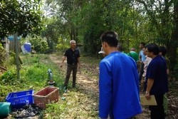 20230320023252.jpg - เทคโนโลยี Smart Farm การพ่นหมอกในโรงเรือนปลูกสตอเบอรี่ | https://facagri.cmru.ac.th/web