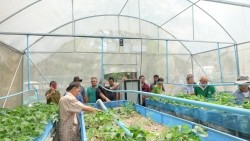20230320023301(1).jpg - เทคโนโลยี Smart Farm การพ่นหมอกในโรงเรือนปลูกสตอเบอรี่ | https://facagri.cmru.ac.th/web