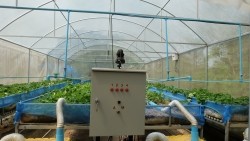 20230320023301.jpg - เทคโนโลยี Smart Farm การพ่นหมอกในโรงเรือนปลูกสตอเบอรี่ | https://facagri.cmru.ac.th/web