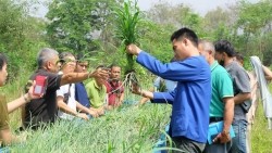 20230320023302.jpg - เทคโนโลยี Smart Farm การพ่นหมอกในโรงเรือนปลูกสตอเบอรี่ | https://facagri.cmru.ac.th/web