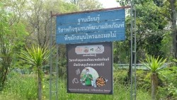 20230320023304.jpg - เทคโนโลยี Smart Farm การพ่นหมอกในโรงเรือนปลูกสตอเบอรี่ | https://facagri.cmru.ac.th/web